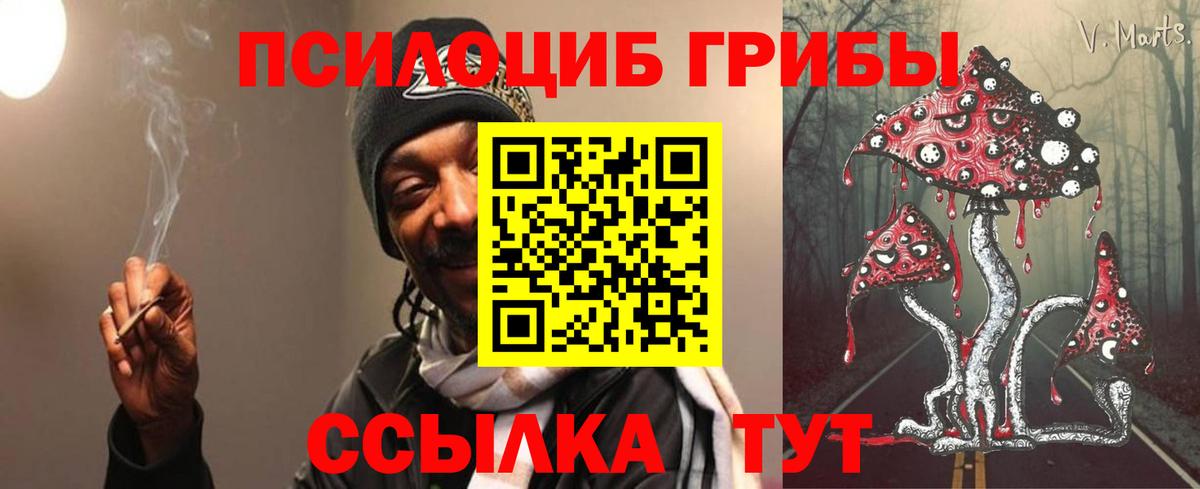 Псилоцибиновые грибы GOLDEN TEACHER Узловая